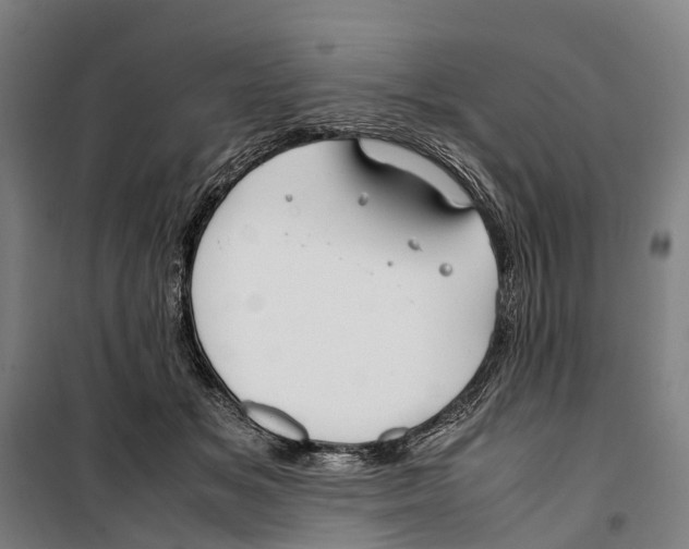 X0000099510509200806121442