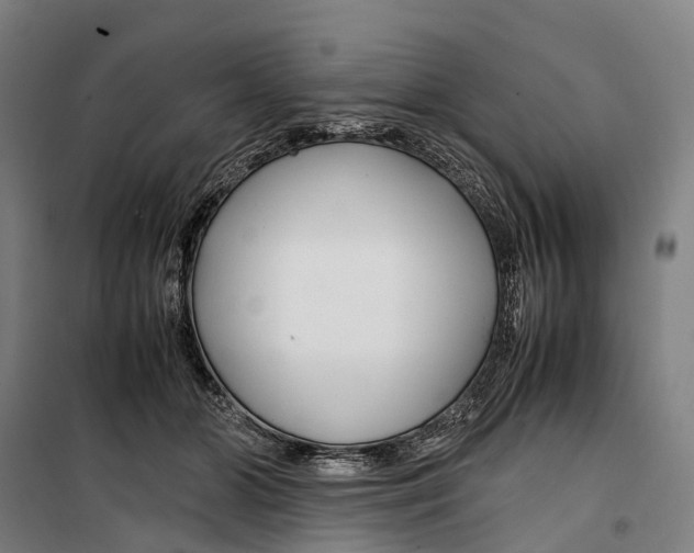 X0000099510510200806121442