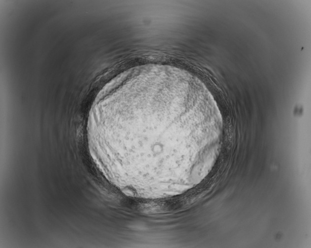 X0000099510511200806121442