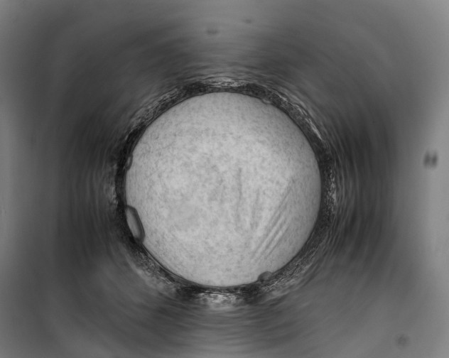 X0000099510512200806121442