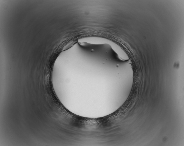 X0000099510513200806121442