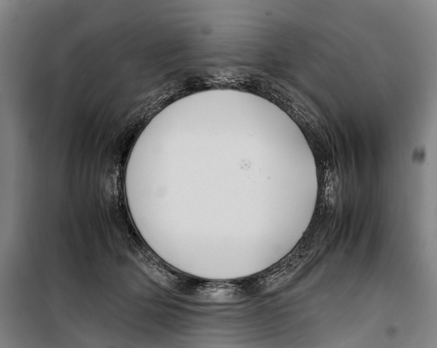 X0000099510514200806121442