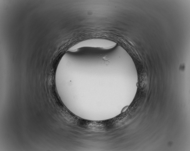 X0000099510515200806121442