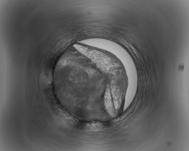 X0000099510517200806121442