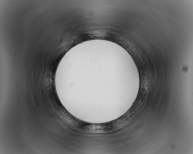 X0000099510518200806121442