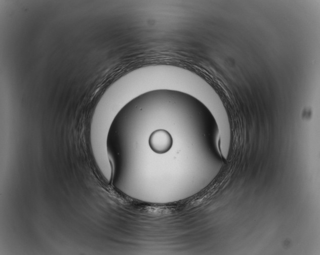 X0000099510520200806121442
