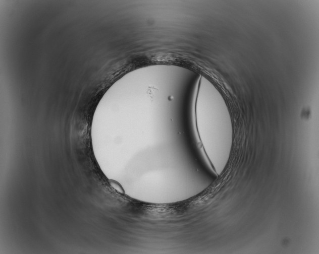 X0000099510521200806121442