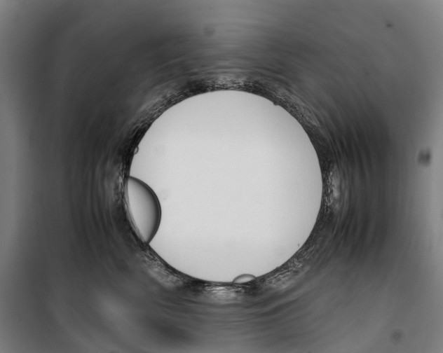 X0000099510522200806121442