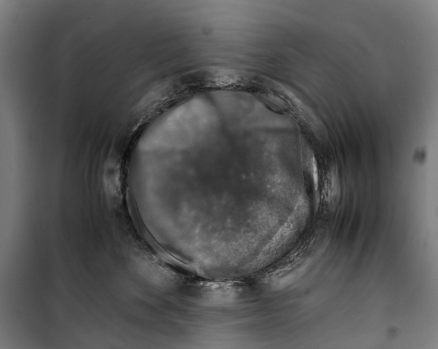 X0000099510524200806121442