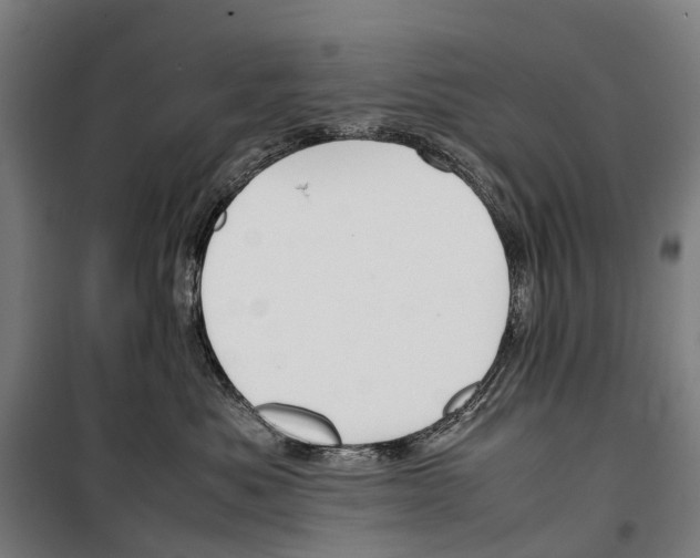 X0000099510525200806121442