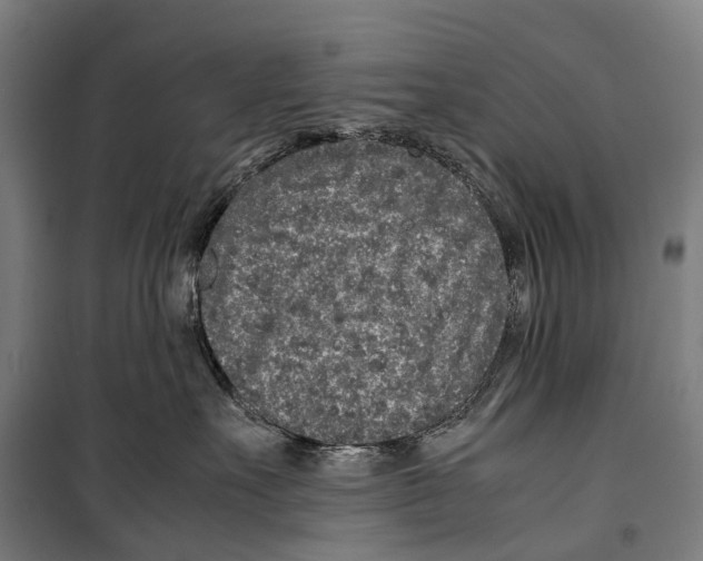 X0000099510527200806121442