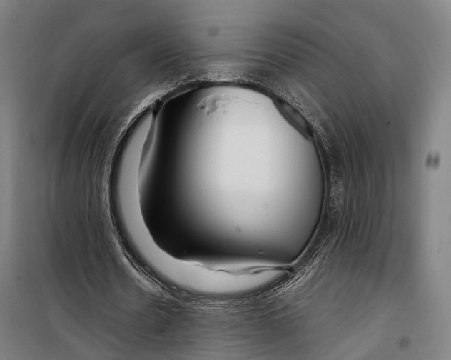 X0000099510530200806121441