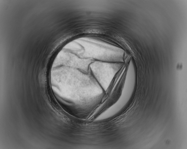 X0000099510531200806121441