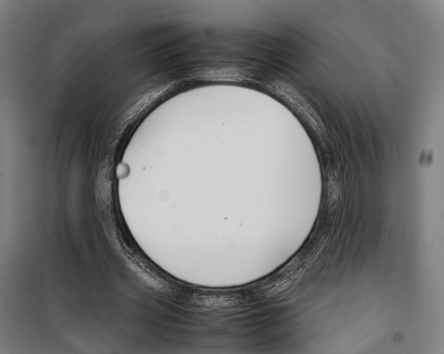 X0000099510533200806121441