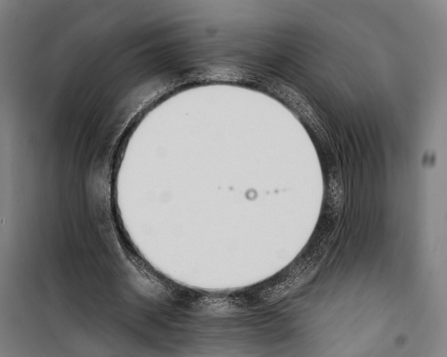 X0000099510534200806121441