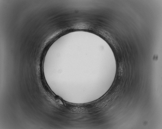 X0000099510535200806121441