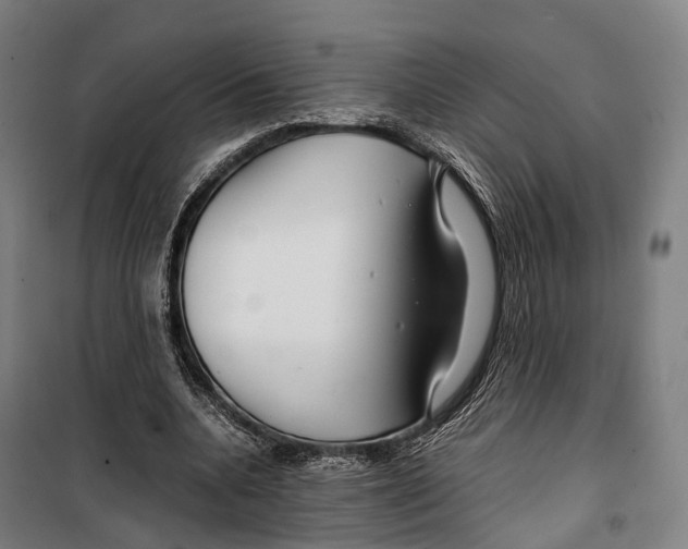 X0000099510536200806121441