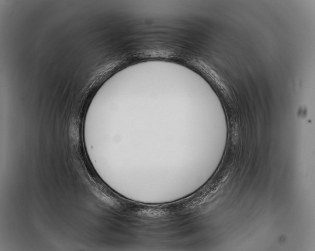 X0000099510537200806121441
