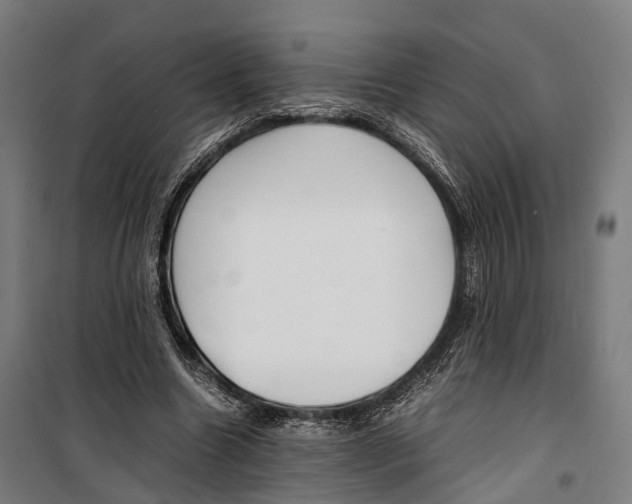 X0000099510538200806121441
