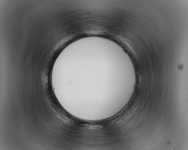 X0000099510539200806121441