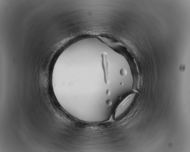 X0000099510540200806121441