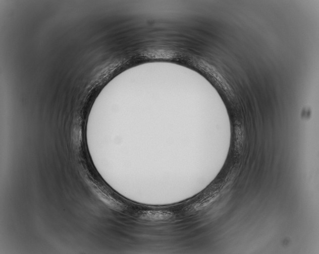 X0000099510541200806121441
