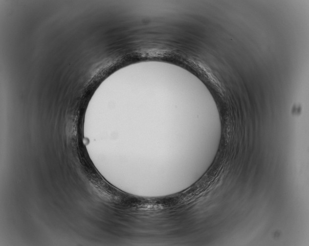 X0000099510543200806121441