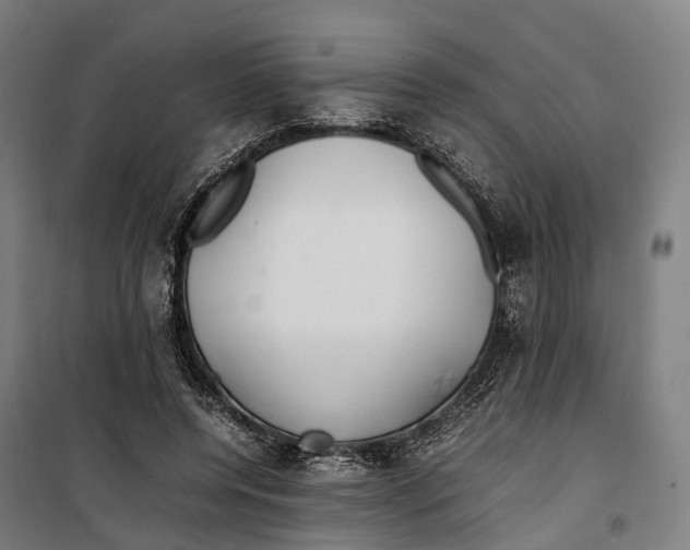 X0000099510544200806121441