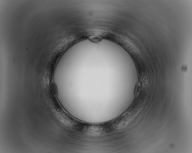 X0000099510546200806121441