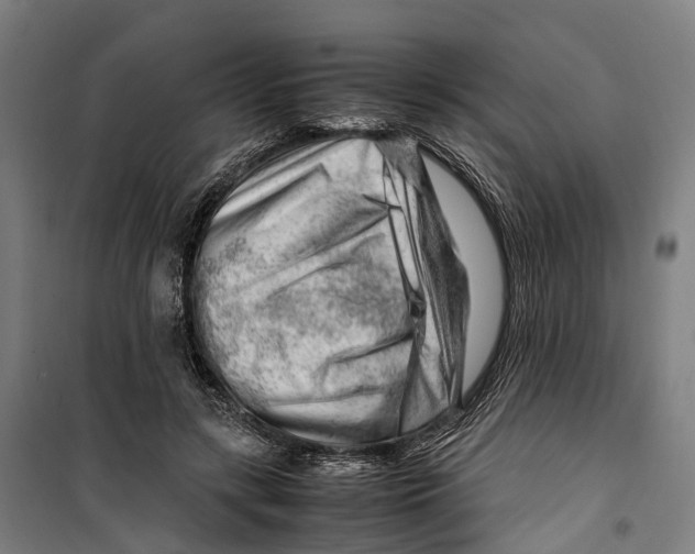 X0000099510547200806121441