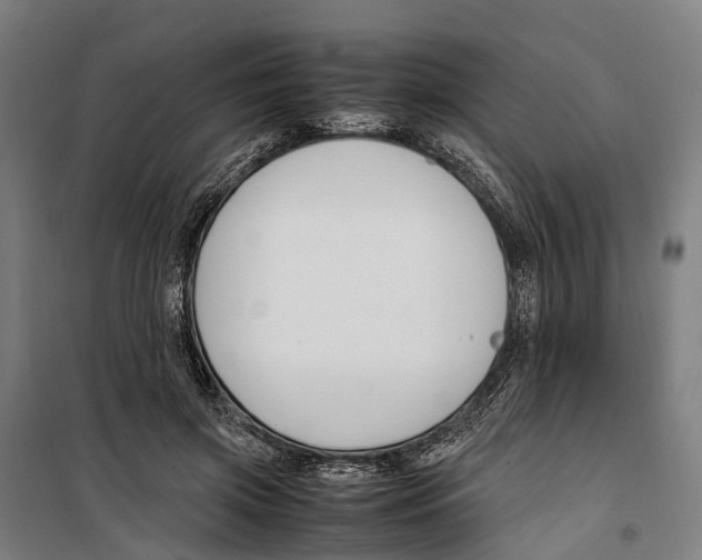 X0000099510549200806121441