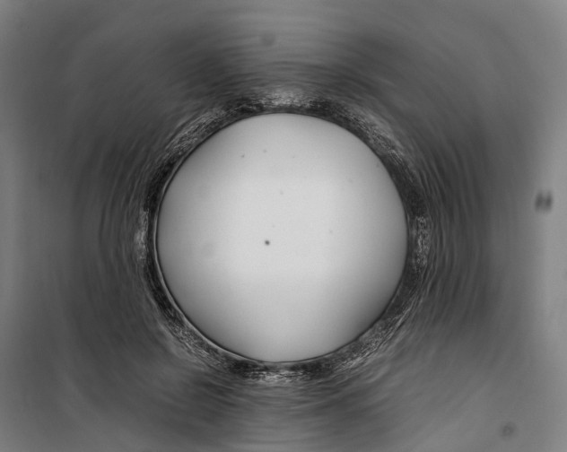 X0000099510550200806121441