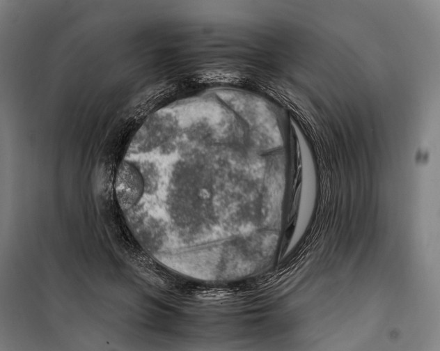 X0000099510551200806121441