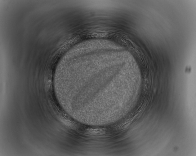 X0000099510553200806121441