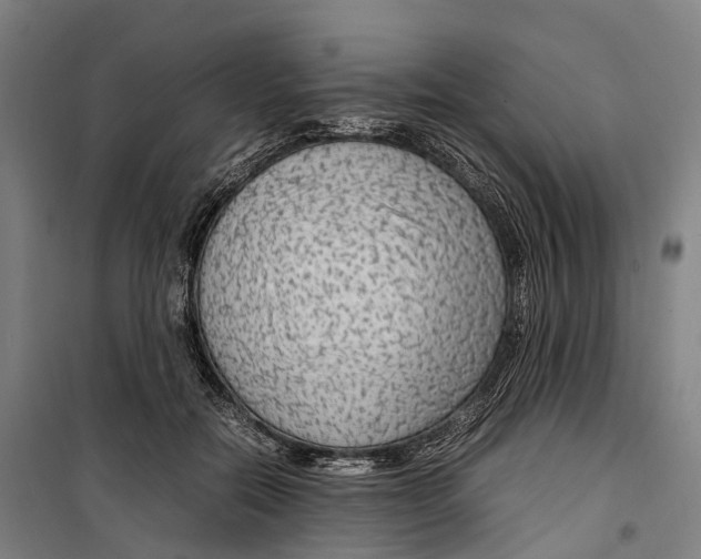 X0000099510554200806121441