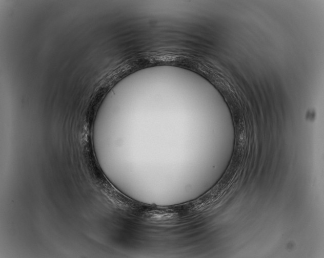 X0000099510555200806121441