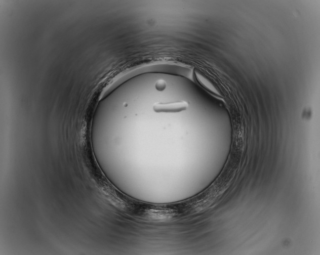 X0000099510556200806121441