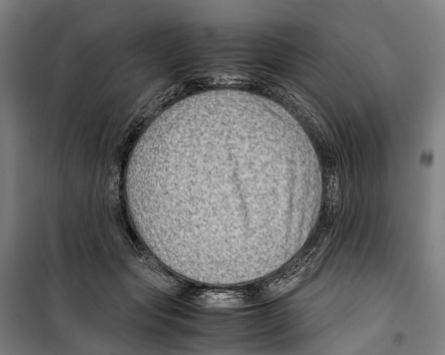 X0000099510557200806121441