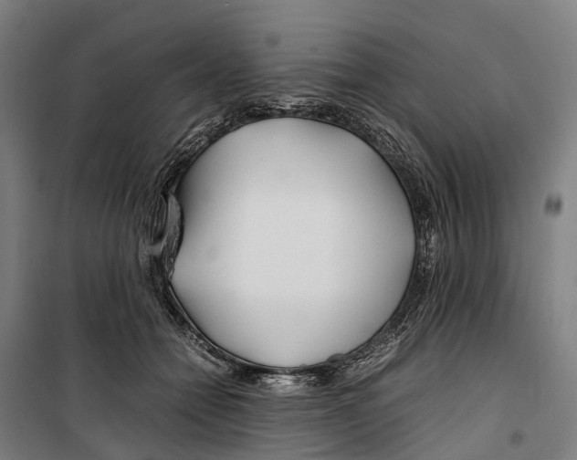 X0000099510558200806121441
