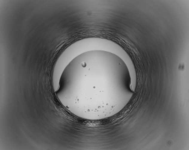 X0000099510560200806121441