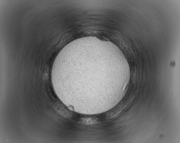 X0000099510561200806121441