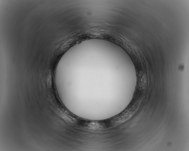 X0000099510562200806121441