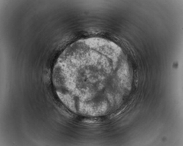 X0000099510563200806121441