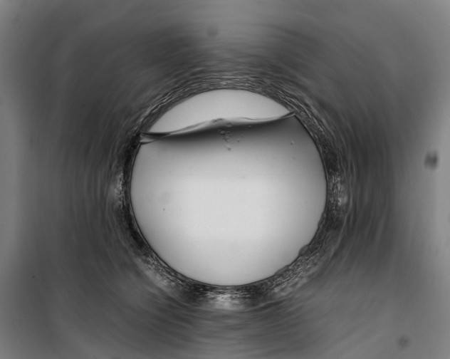 X0000099510564200806121441