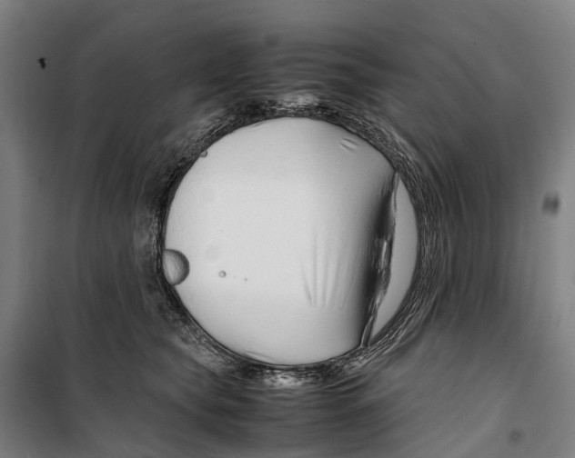 X0000099510565200806121441