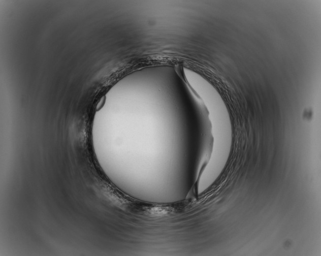 X0000099510566200806121441