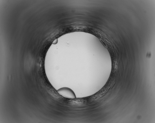 X0000099510567200806121441