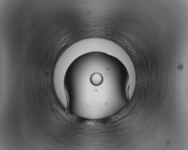 X0000099510568200806121441