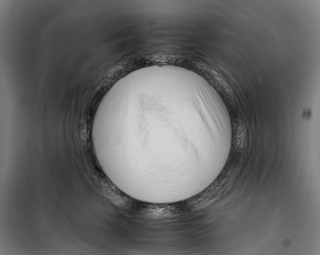 X0000099510569200806121441