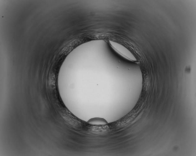 X0000099510571200806121441